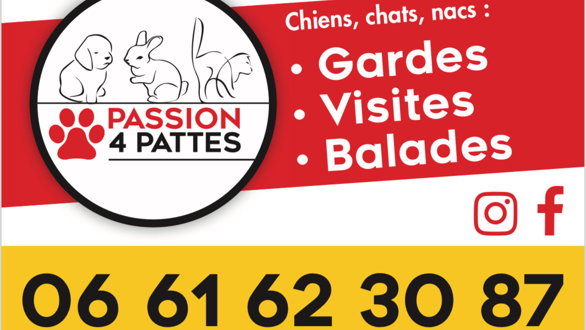 Passion 4 pattes — photo