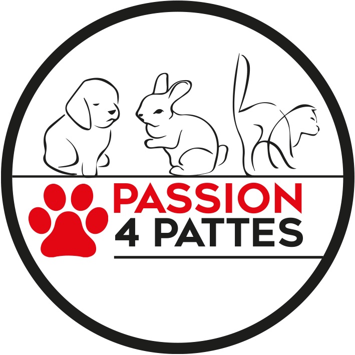 Passion 4 pattes — photo
