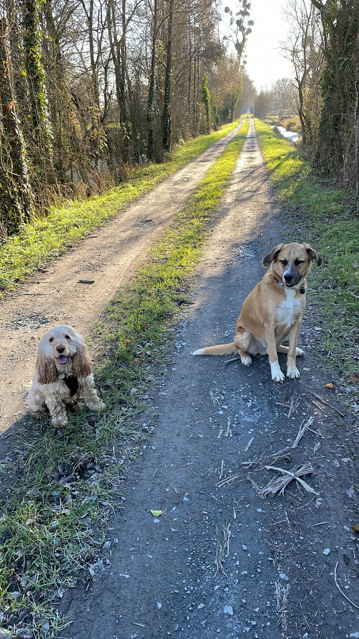 Zouzou pet sitter — photo