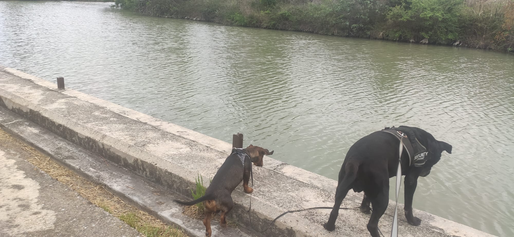 Eddy et Compagnie — photo