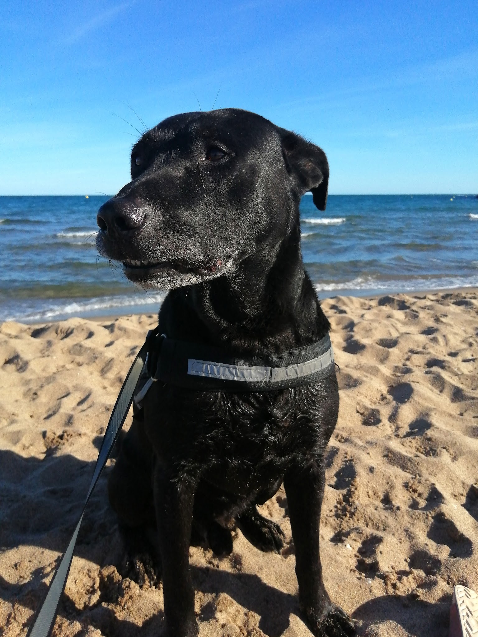 Eddy et Compagnie — photo
