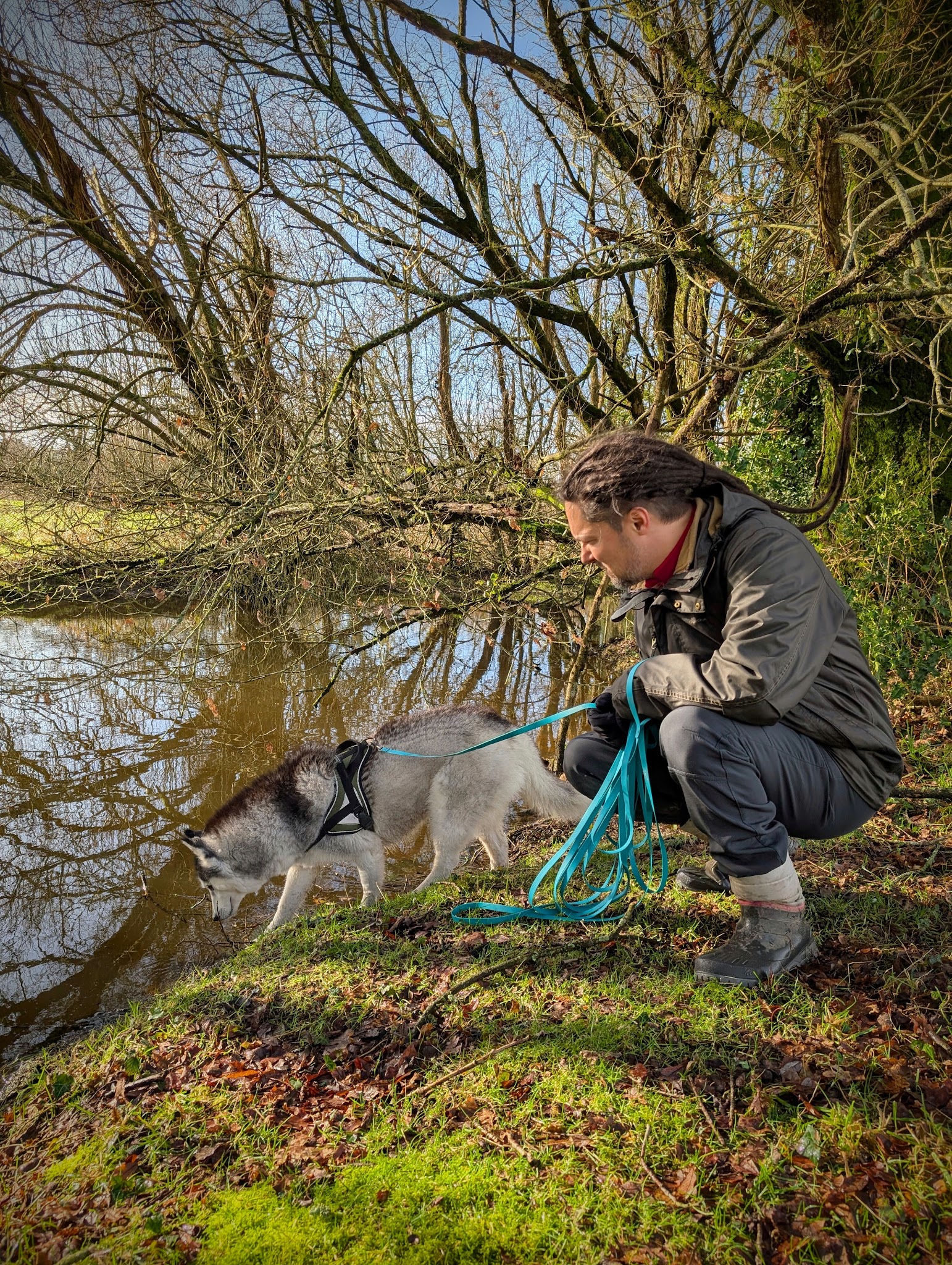 The Walking Dread - Promenade Chien et Visite à Domicile Animaux (COMPLET AU 17/05/2026) — photo