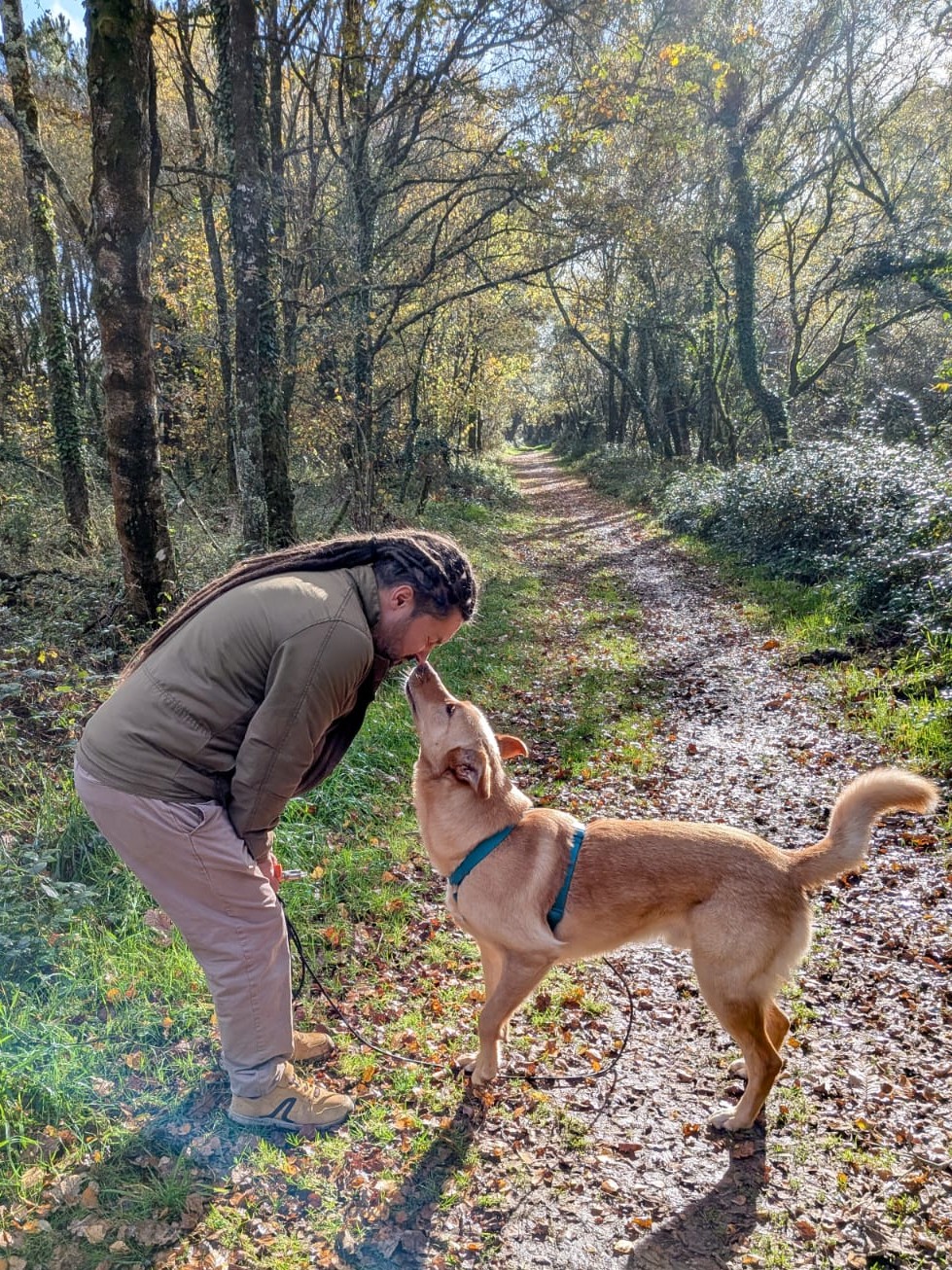 The Walking Dread - Promenade Chien et Visite à Domicile Animaux (COMPLET AU 17/05/2026) — photo