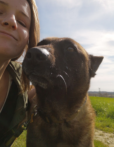 Luckyday - Médiation animale, garde d'animaux et ateliers créatifs