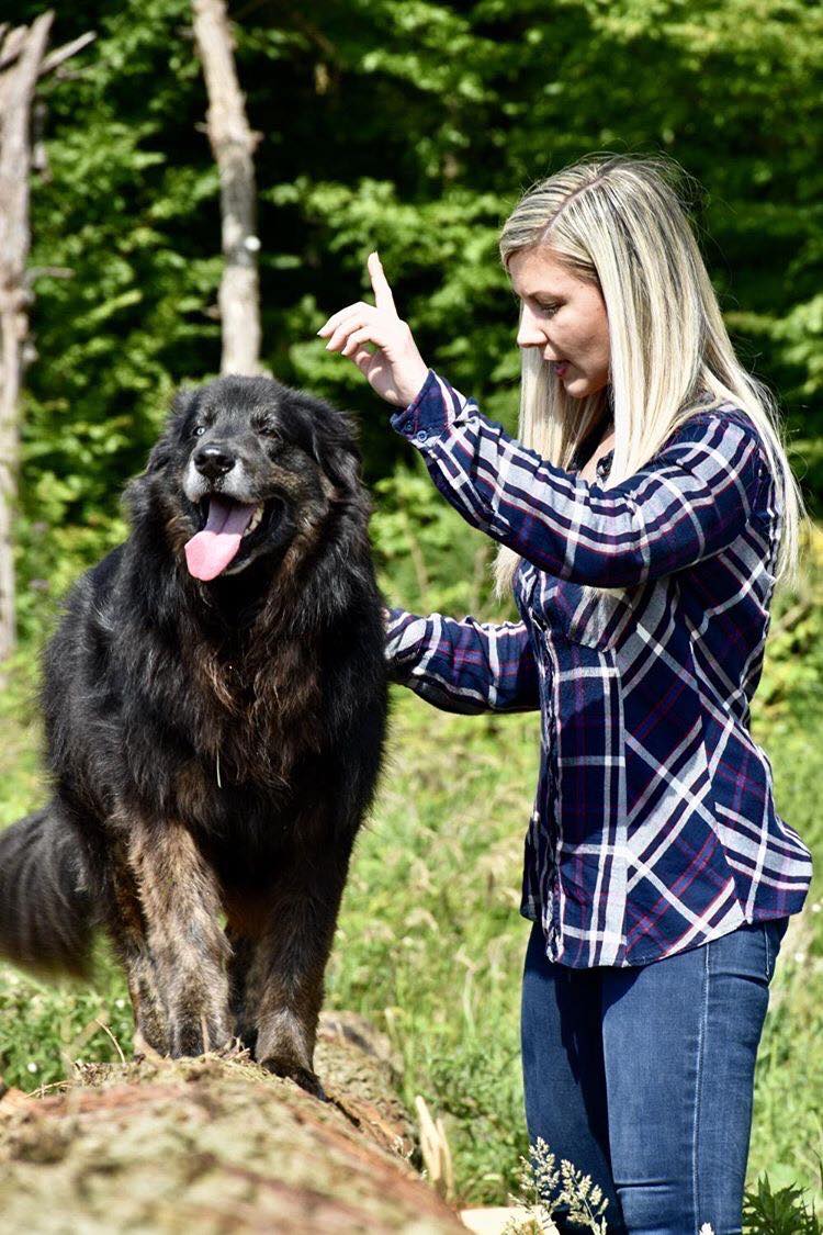 Respect-Animal - Justine COURTECUISSE - Educatrice Comportementaliste Canine - Pension canine familiale — photo