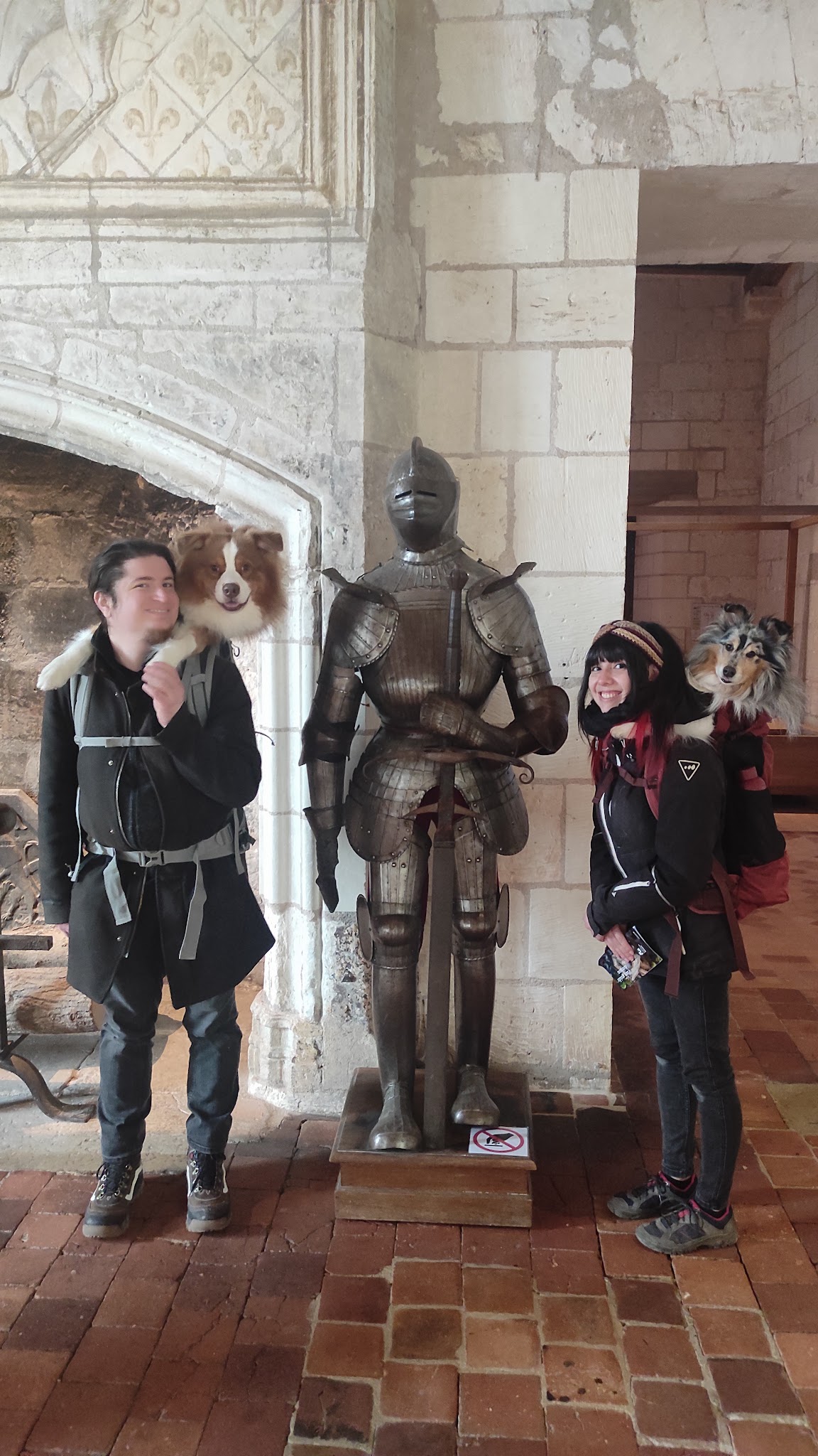 L'Arche des Loulous