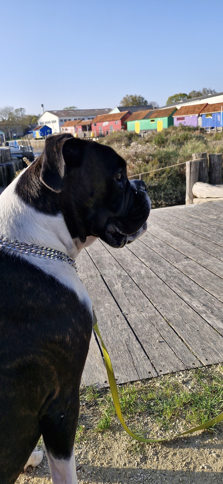 Pension Canine La Praslaysienne — photo