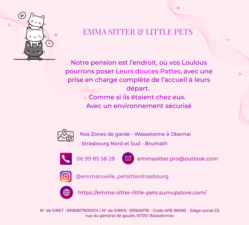 Emma Sitter And Little Pets — photo