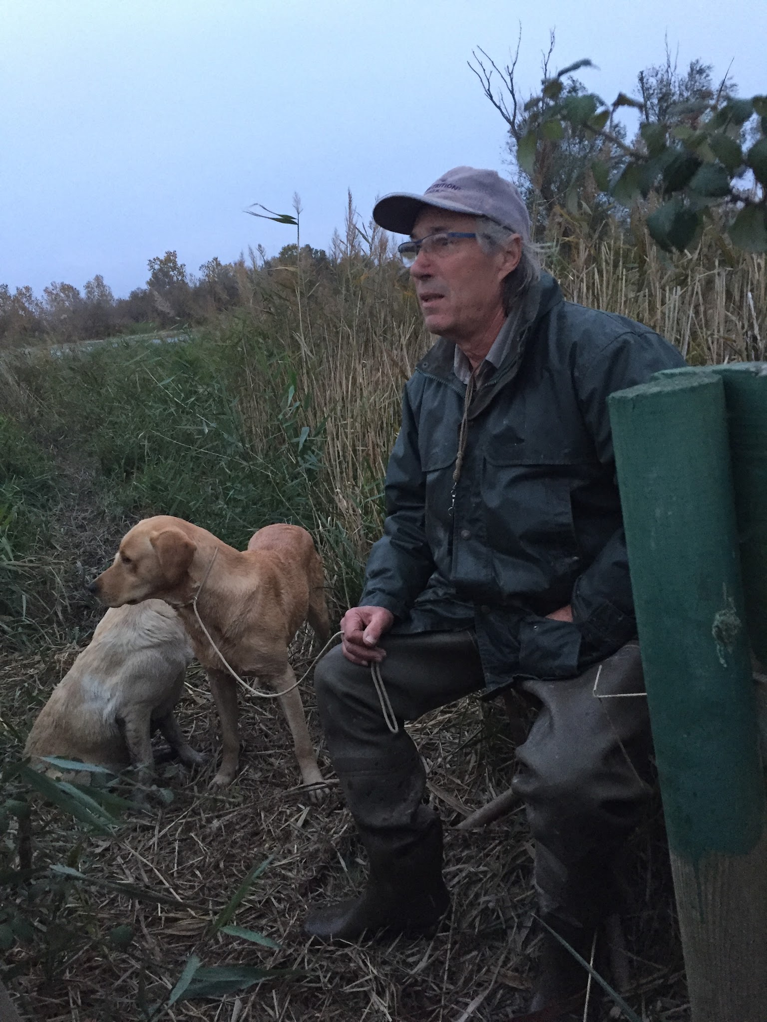 Retrievers Du Mas De Mailys — photo