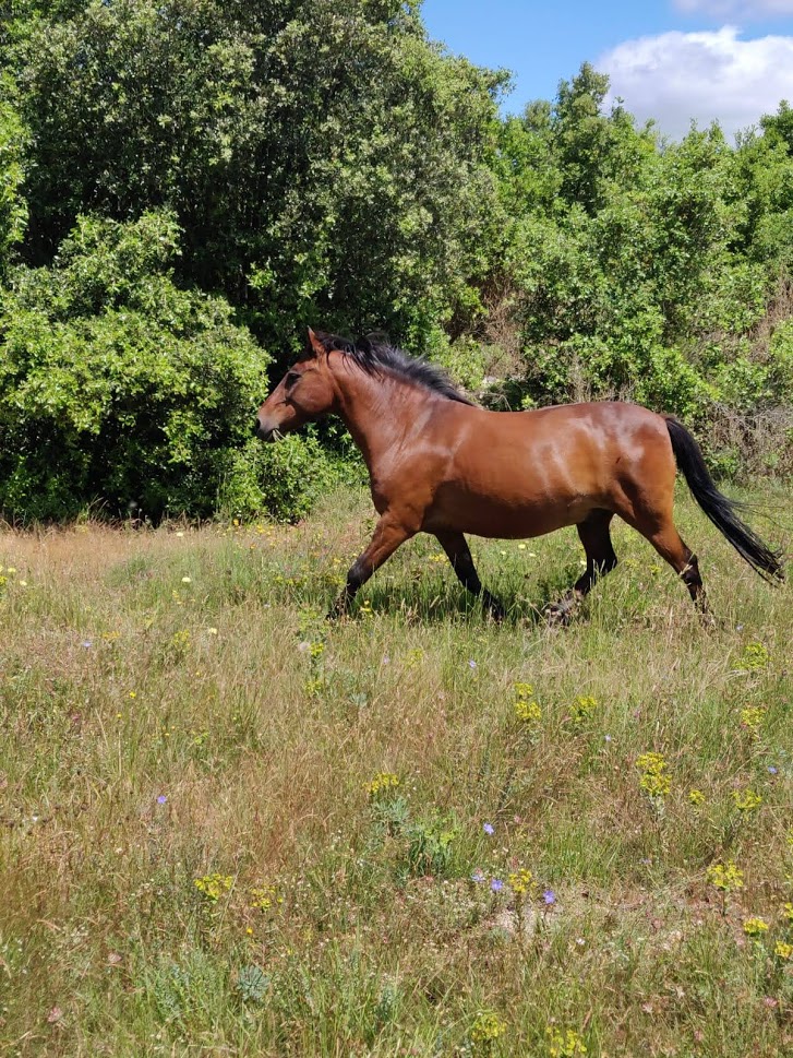 le domaine la tane — photo