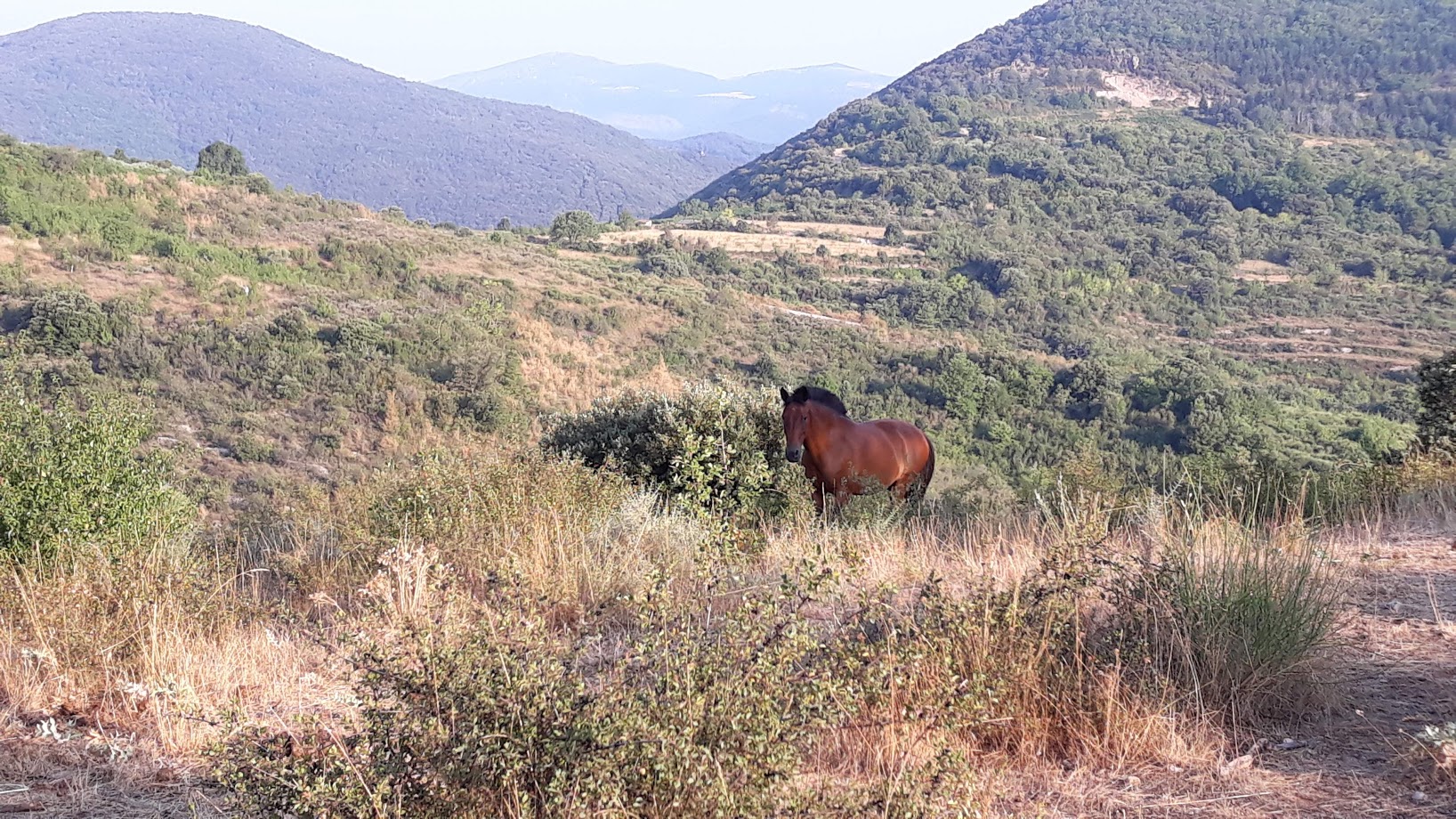 le domaine la tane — photo