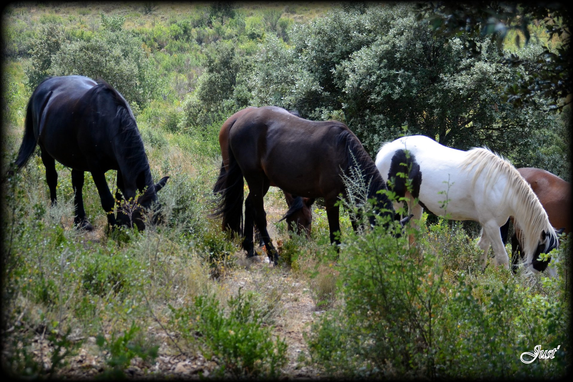 le domaine la tane — photo