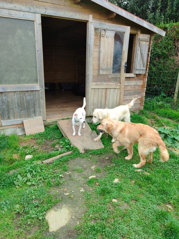 Les pattes de Guy'mauve — photo