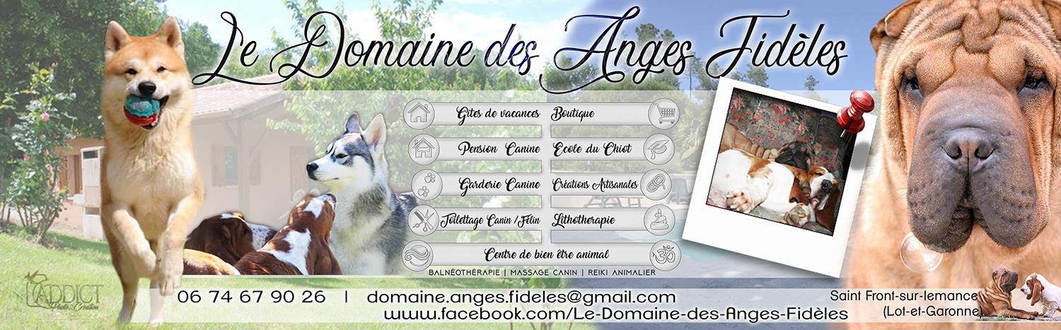 Le Domaines des Anges Fidèles — photo