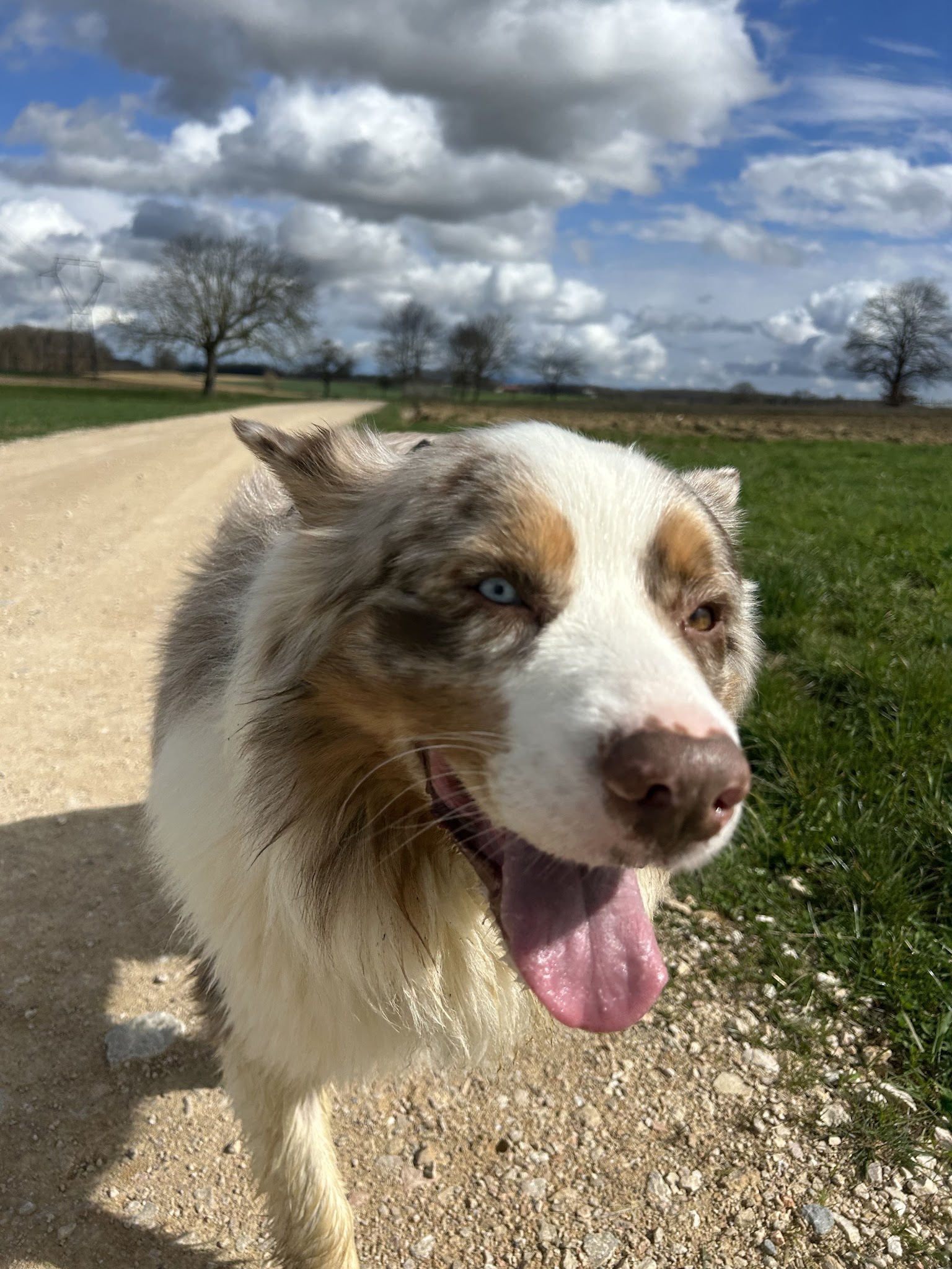 Camille, soigneuse animalière Petsitter — photo
