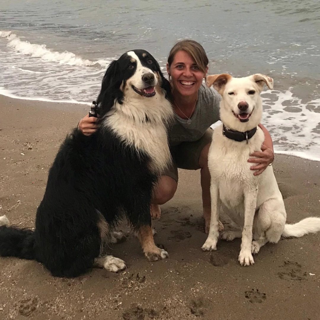 Ô Croc Mignon - Pension et Éducation Canine — photo