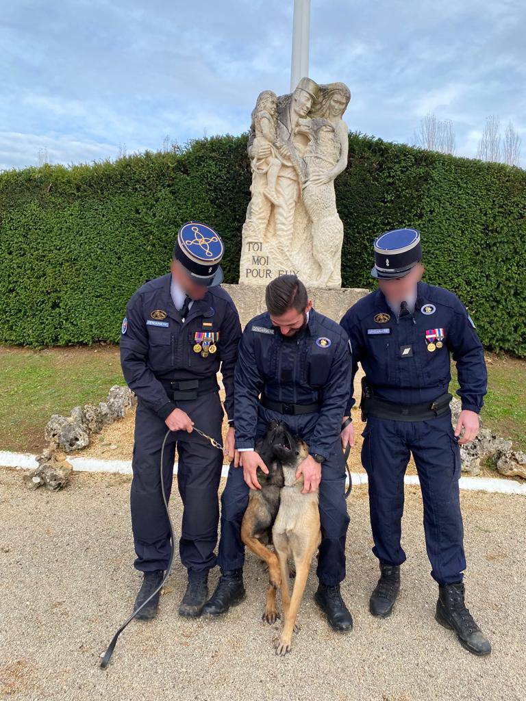 ETB-K9 Academy éducateur comportementaliste canin — photo