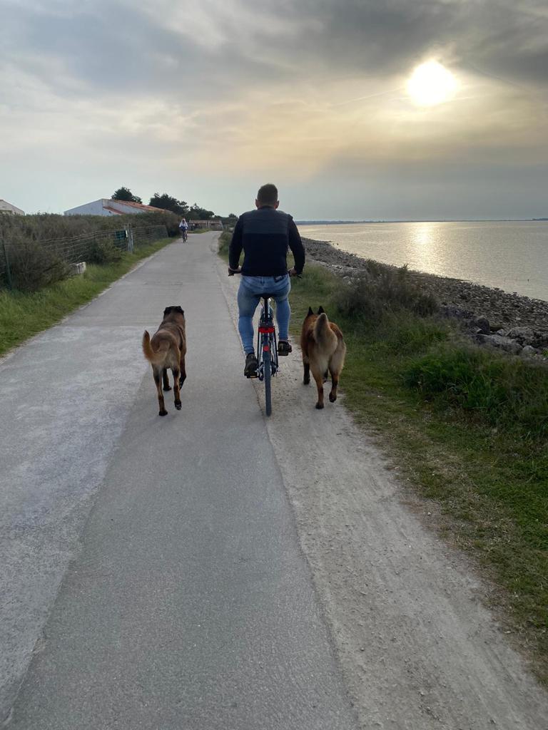 ETB-K9 Academy éducateur comportementaliste canin — photo
