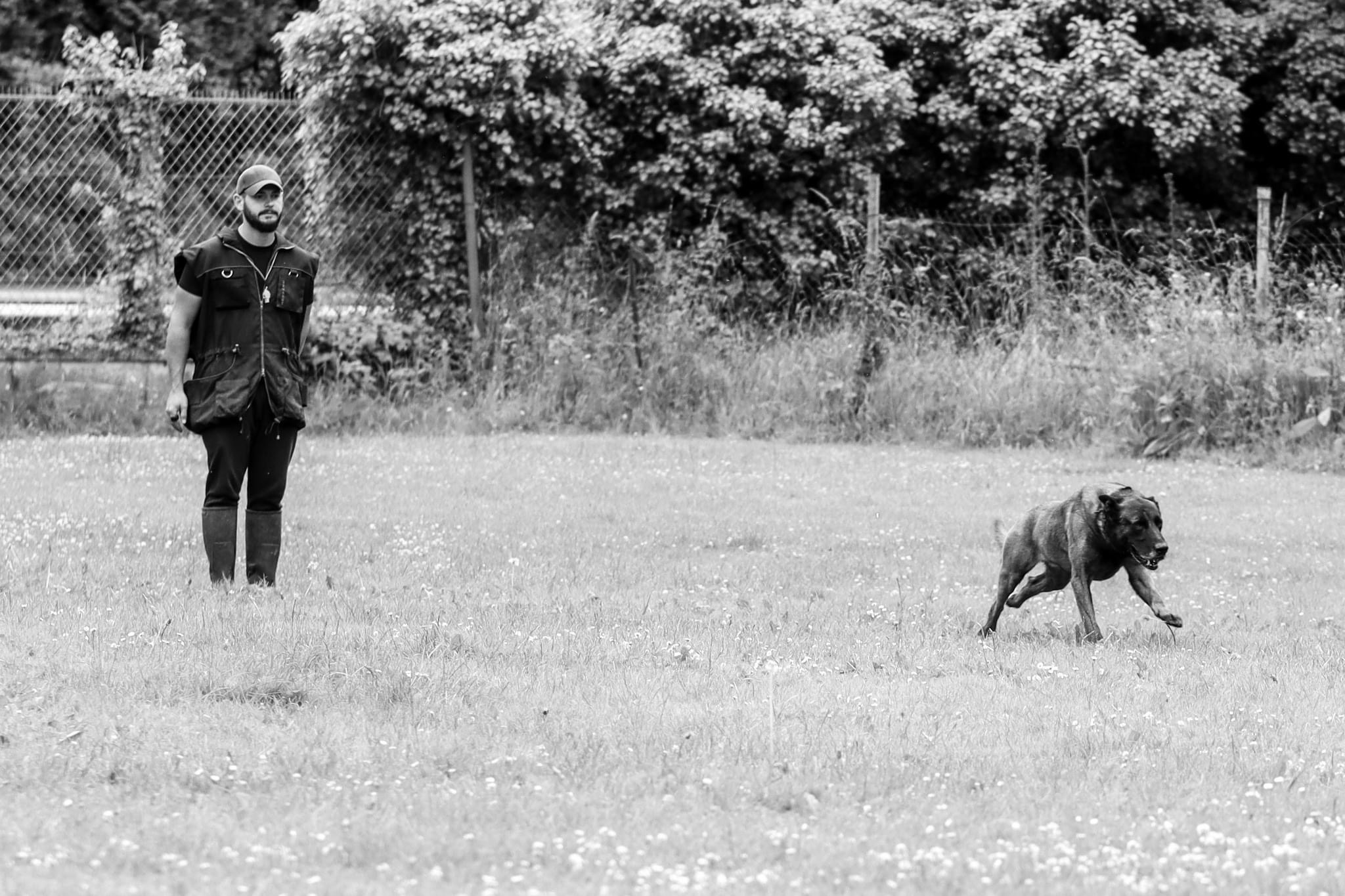 ETB-K9 Academy éducateur comportementaliste canin — photo