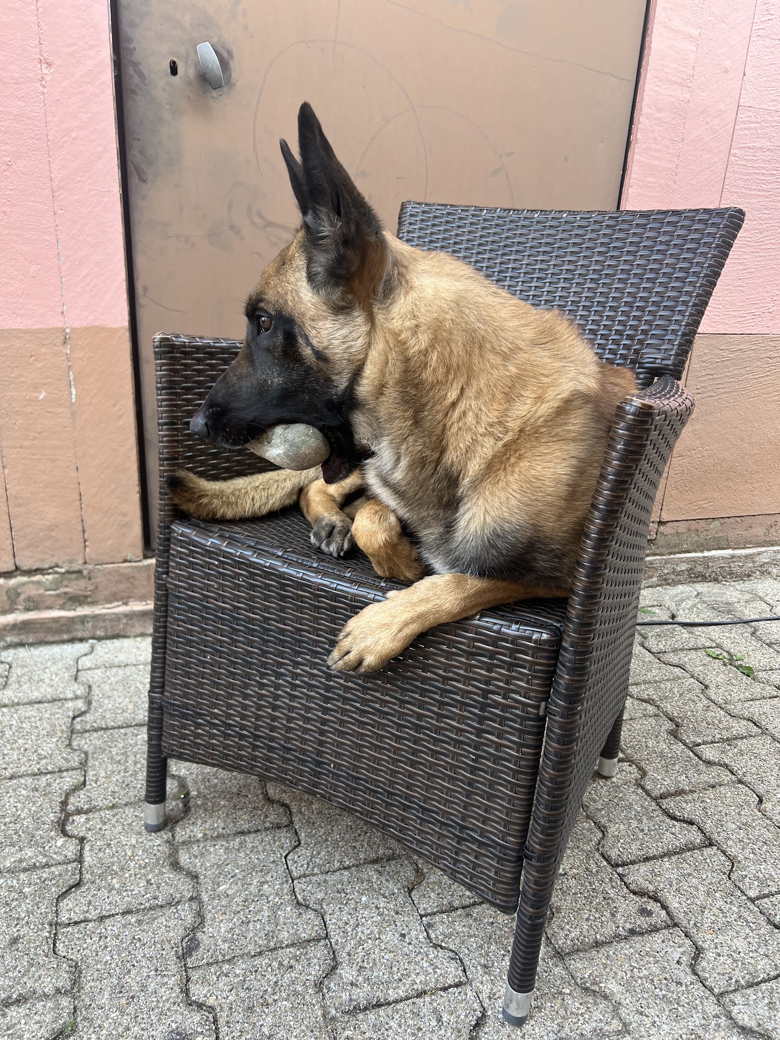 Les Amis de Mala — photo