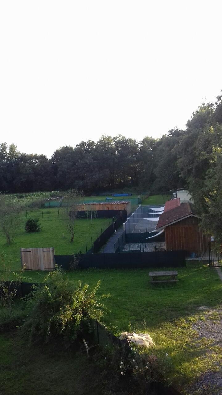 Pension Canine du Clair Soleil — photo