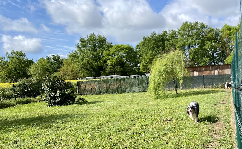 Pension Canine du Clair Soleil
