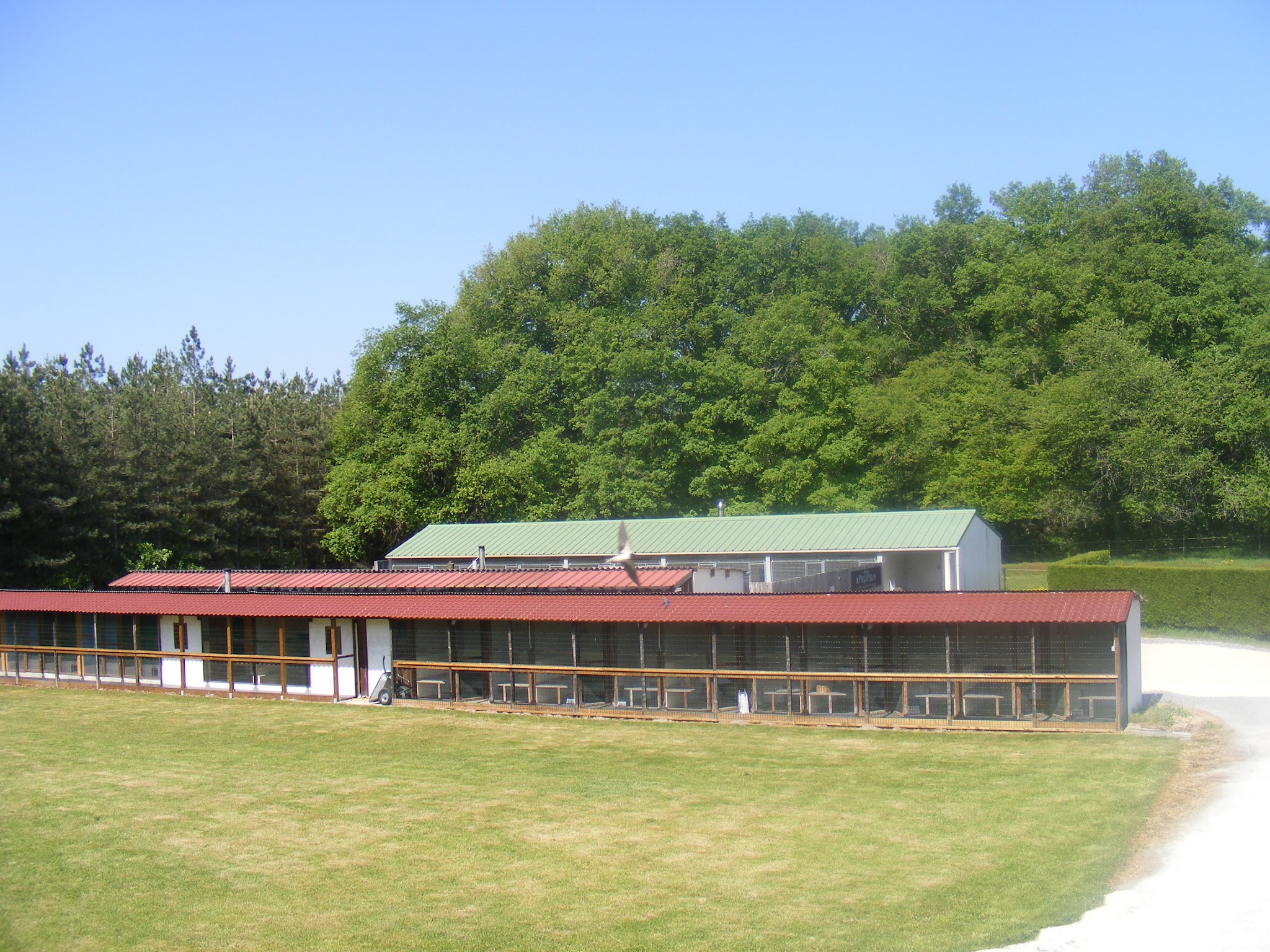 Provot Pascal — photo