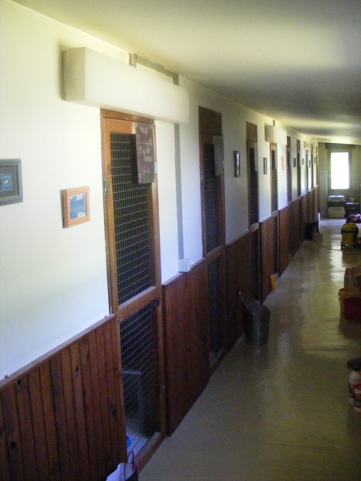 Provot Pascal — photo