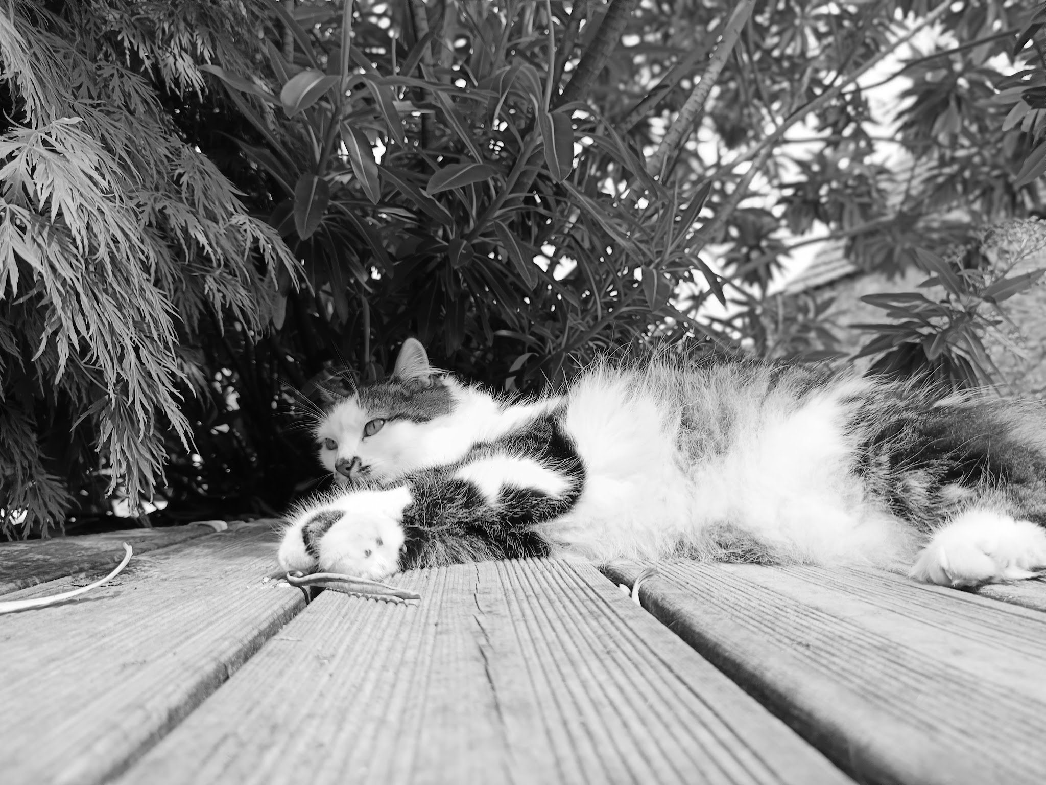 Une bonne compagnie — photo