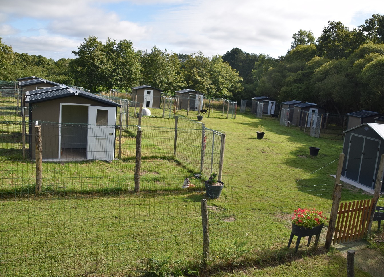 Éducation et Pension Canine du Brivet - Domaine Canin du BRIVET