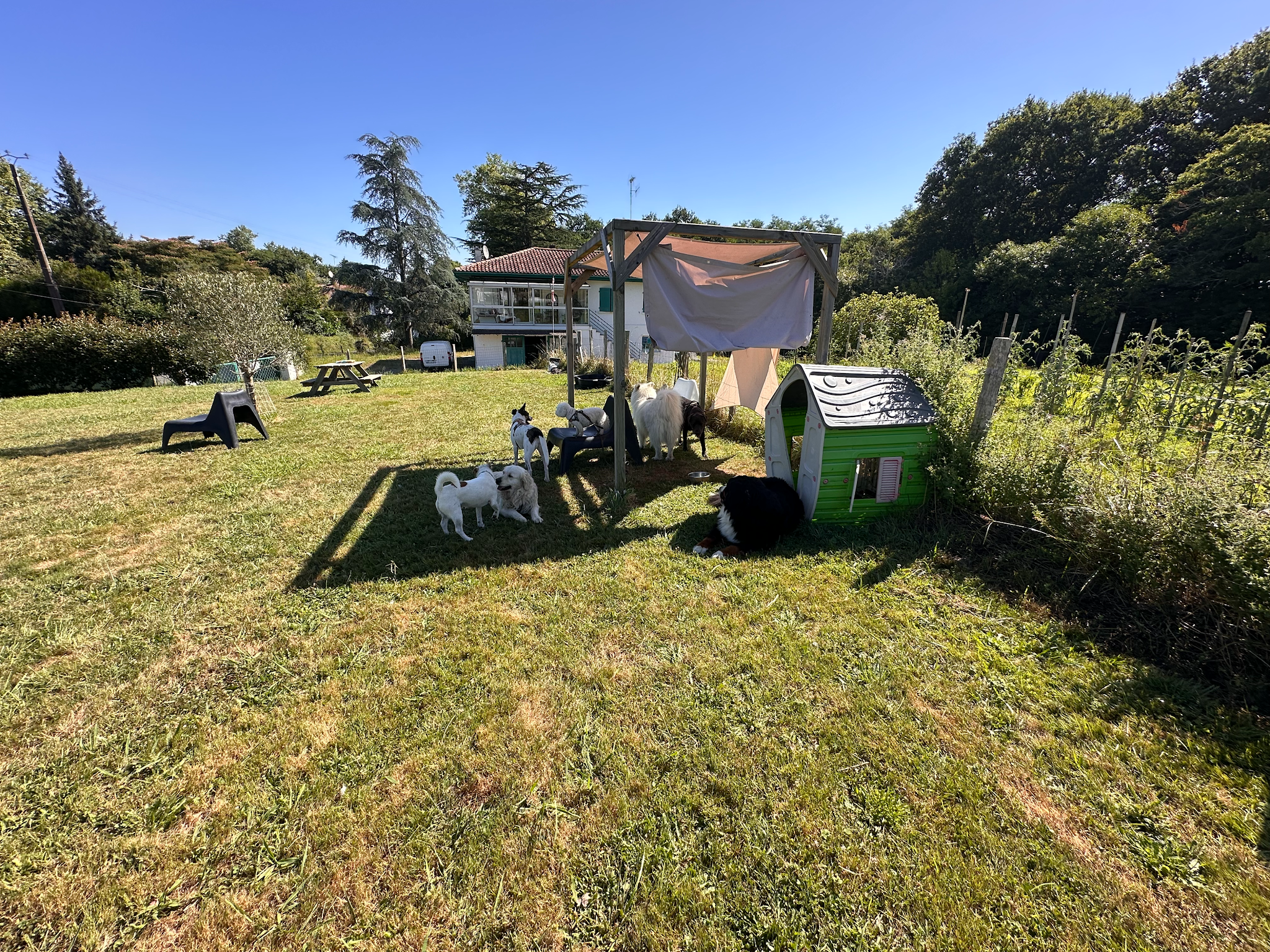 Mustache Garden — photo