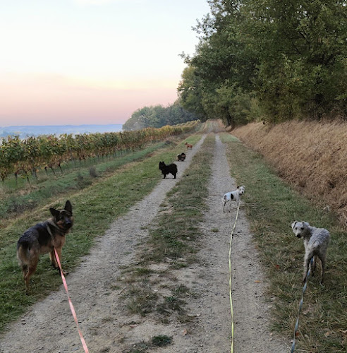 L'Esprit Tranquille