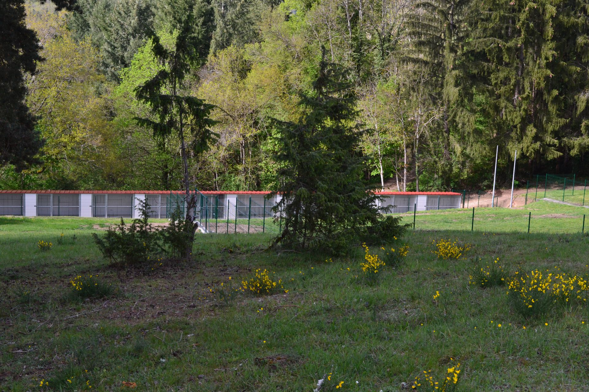 Sarl Chenil Des Chaux — photo