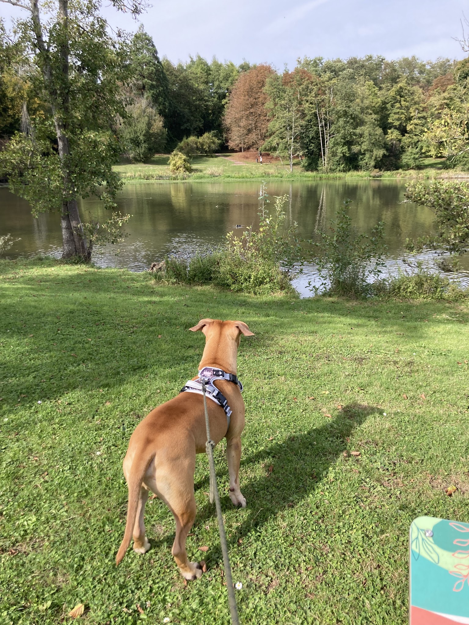 Woufiaou - Pet sitting