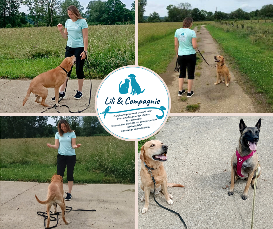 Lili & compagnie 90 — photo