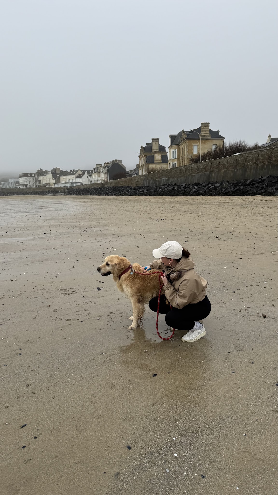La main à la patte — photo