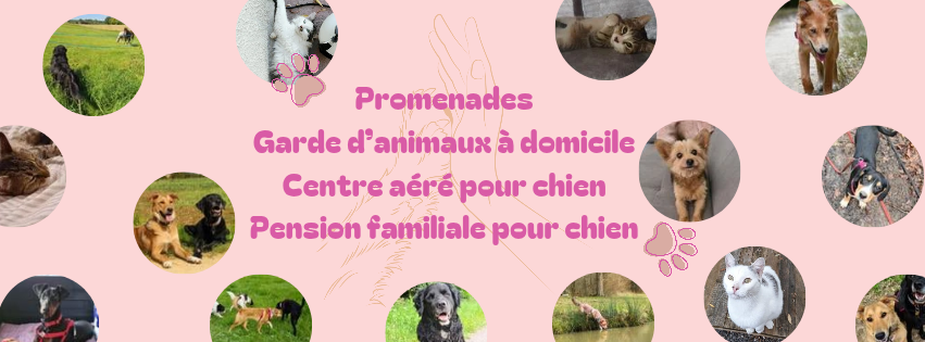 Mayah et Compagnie