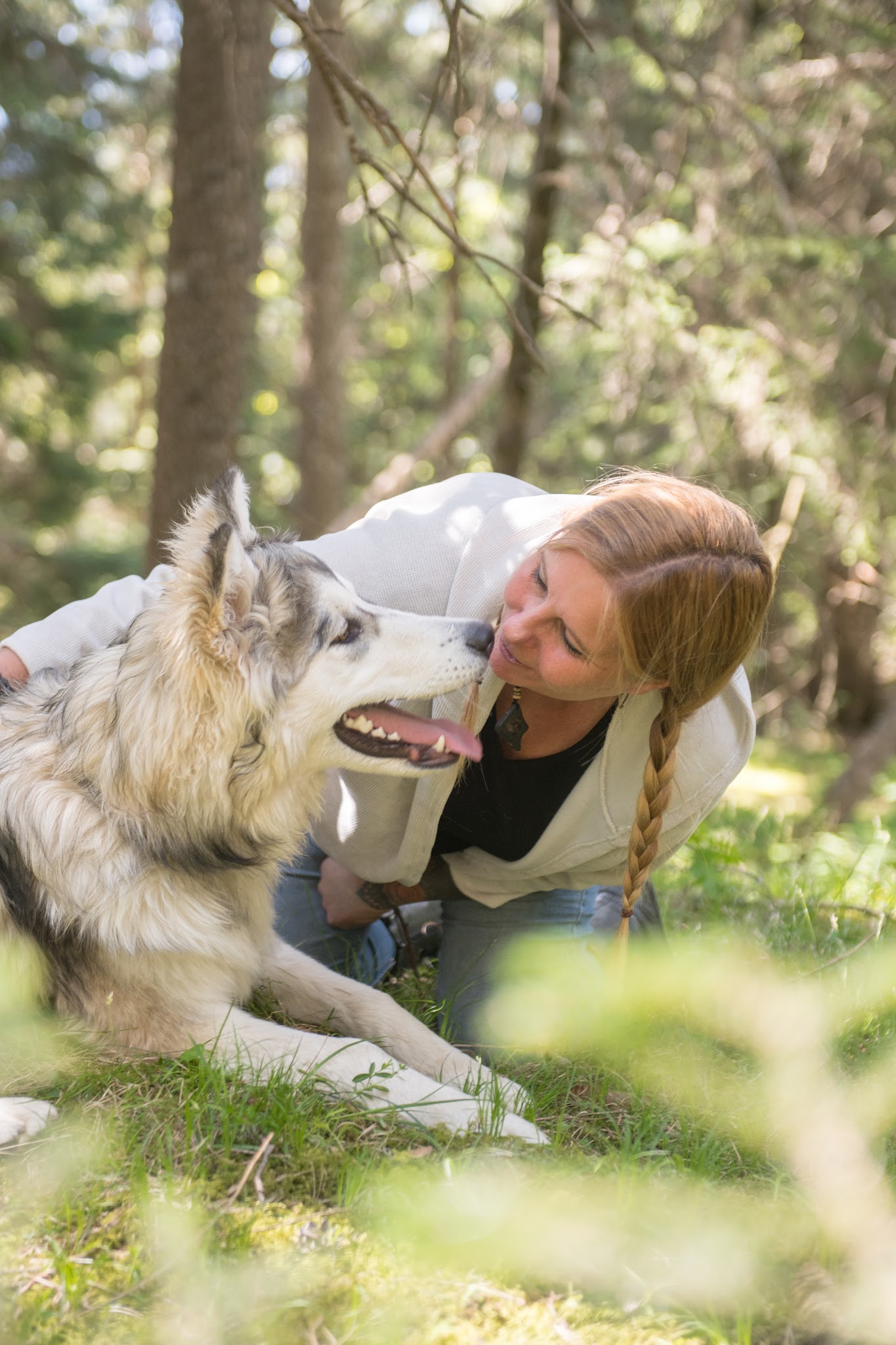 le pacte des loups — photo