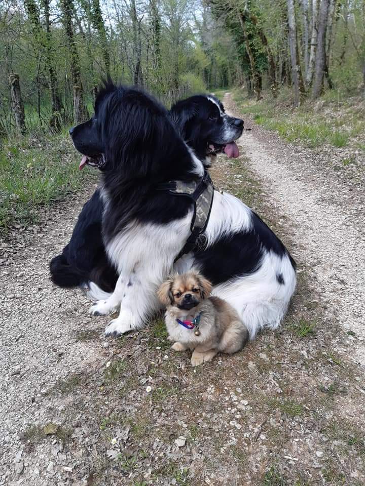 Les petites truffes de Dalye — photo