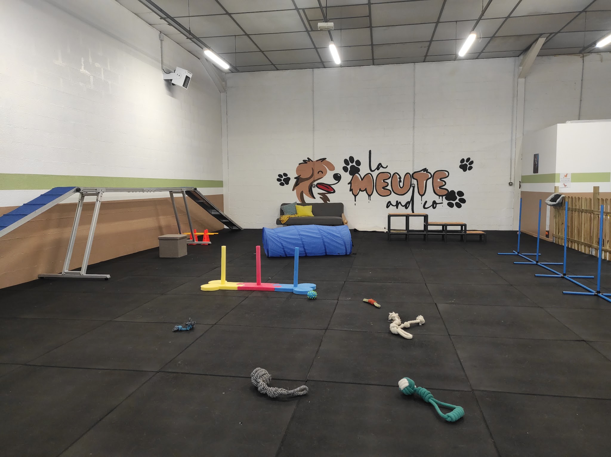 LA MEUTE AND CO-PARC CANIN D'INTERIEUR ET GARDERIE DE JOUR - DOGWASH sans rdv — photo