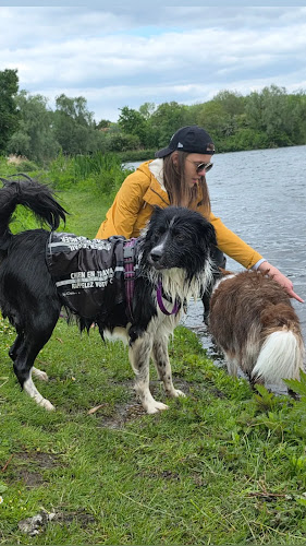 Dog n progress | Educatrice & coach en comportement canin