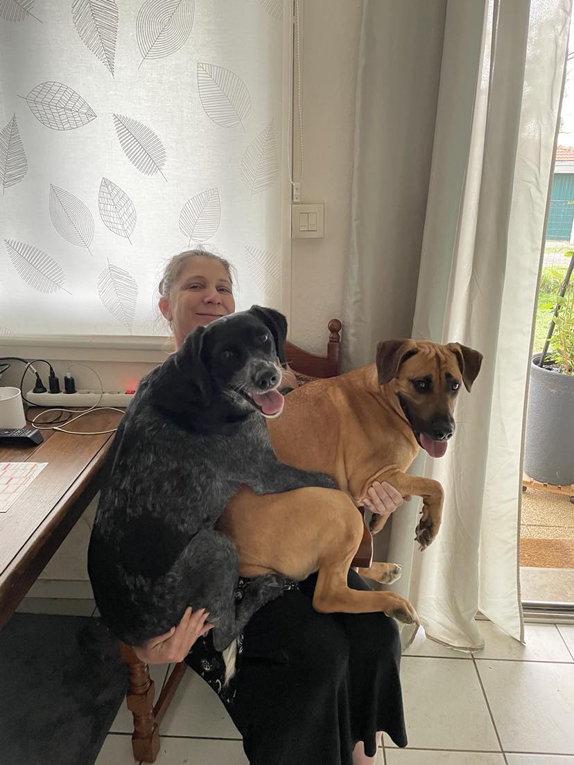 Educateur Comportementaliste canin 55 LogiK9 - Pension Partez Zen