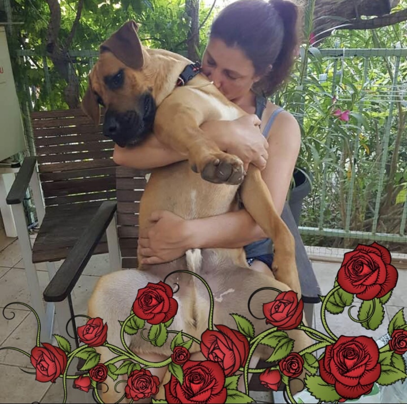 Educateur Comportementaliste canin 55 LogiK9 - Pension Partez Zen — photo
