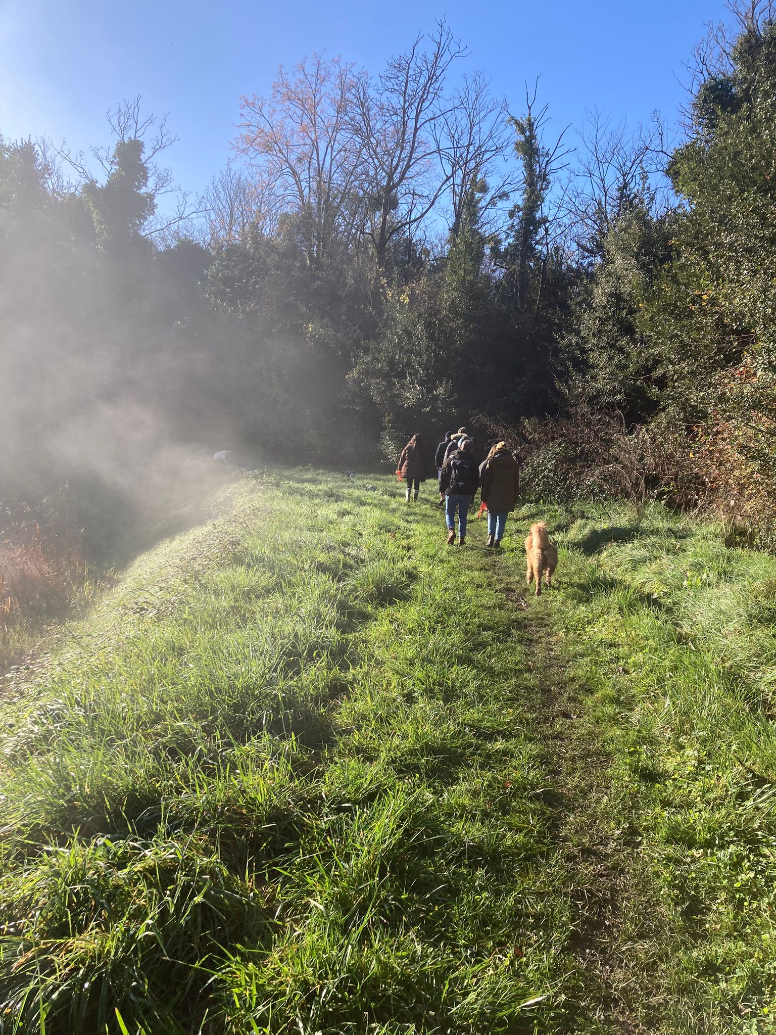 TRUFFE SOCIAL CLUB - Doggy daycare - Garderie loisirs sans hébergement à Bordeaux — photo