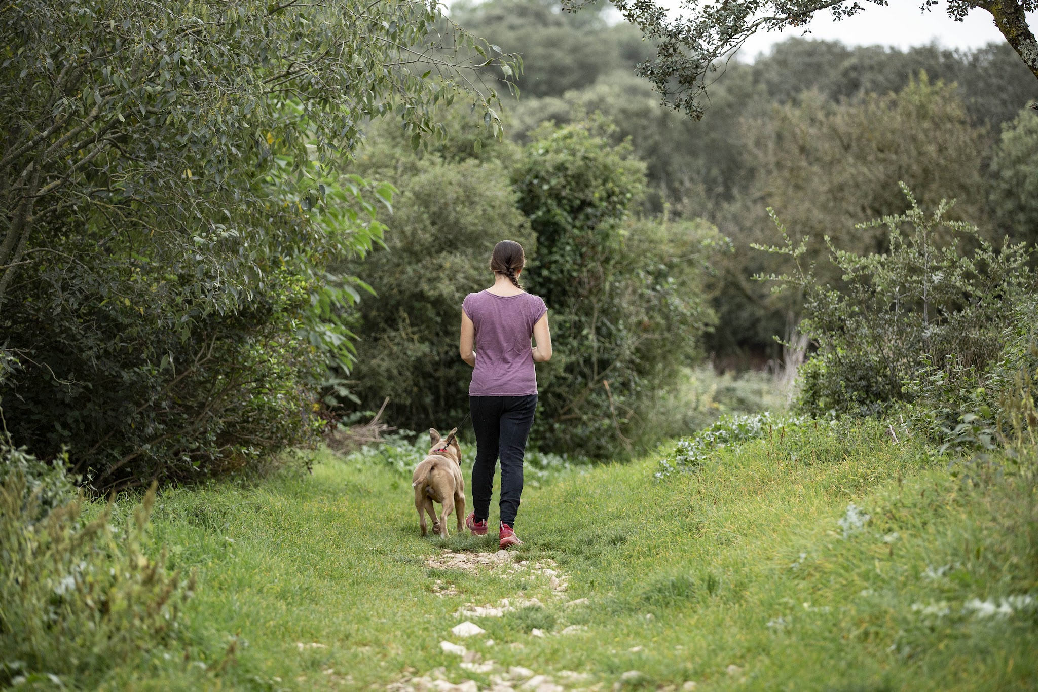Chloé Pet Sitter — photo