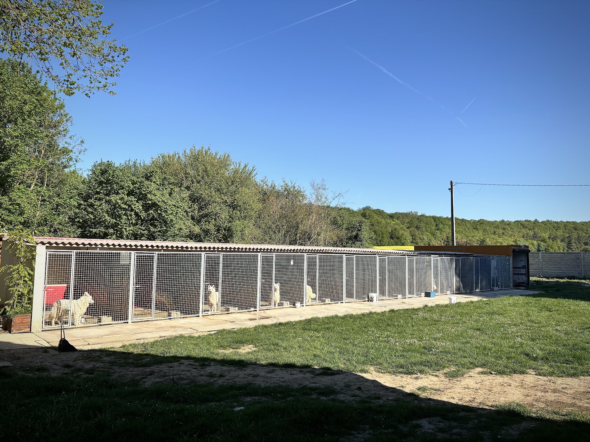Pension canine la Forêt des Bergers — photo