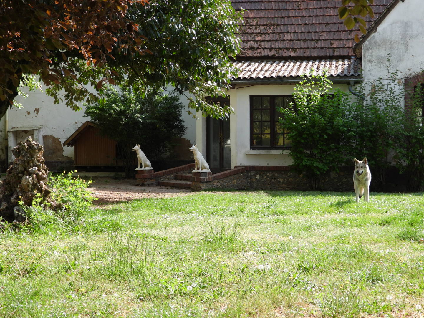 Pension canine la Forêt des Bergers — photo