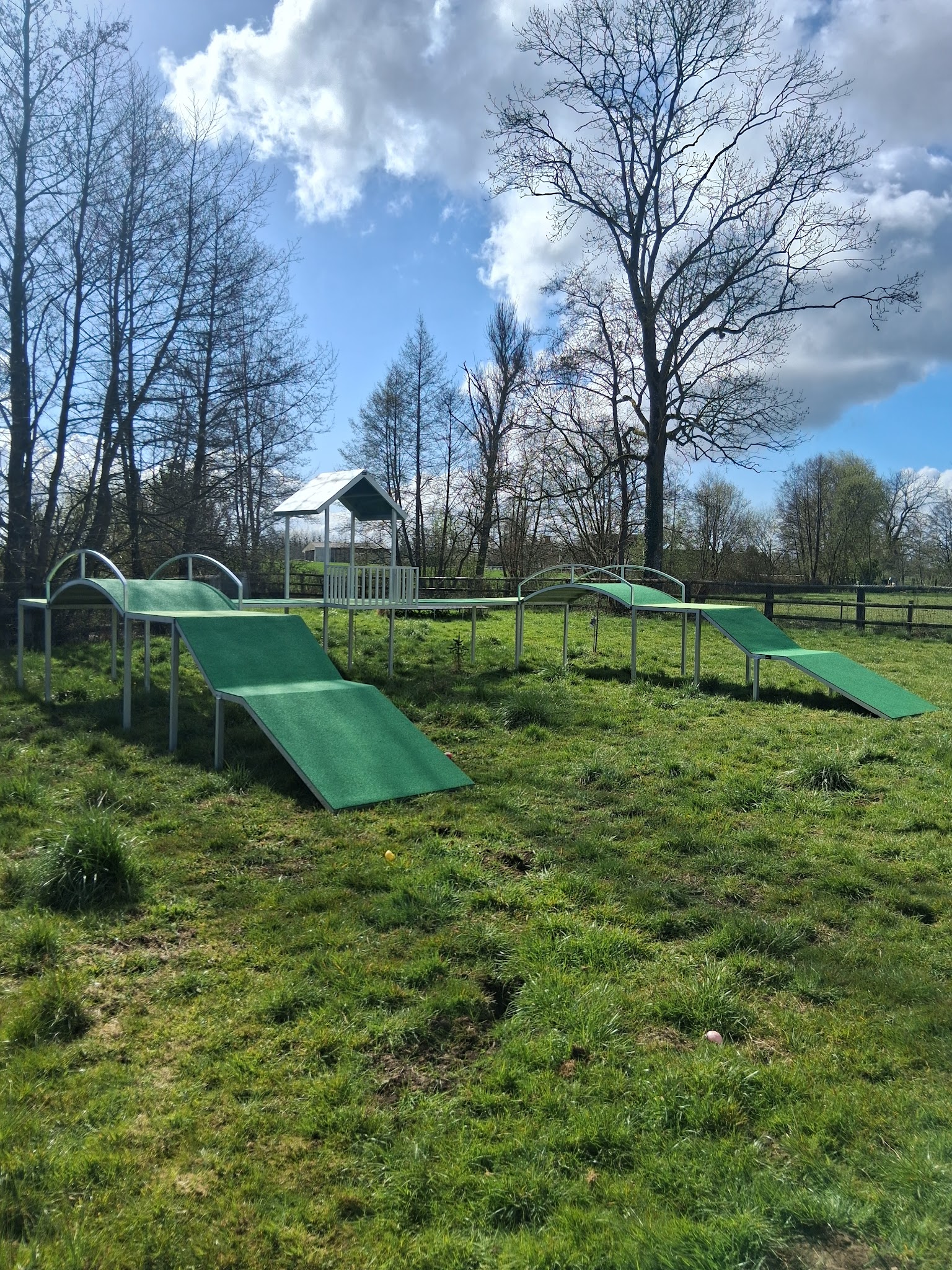 Au logis des 4 pattes — photo