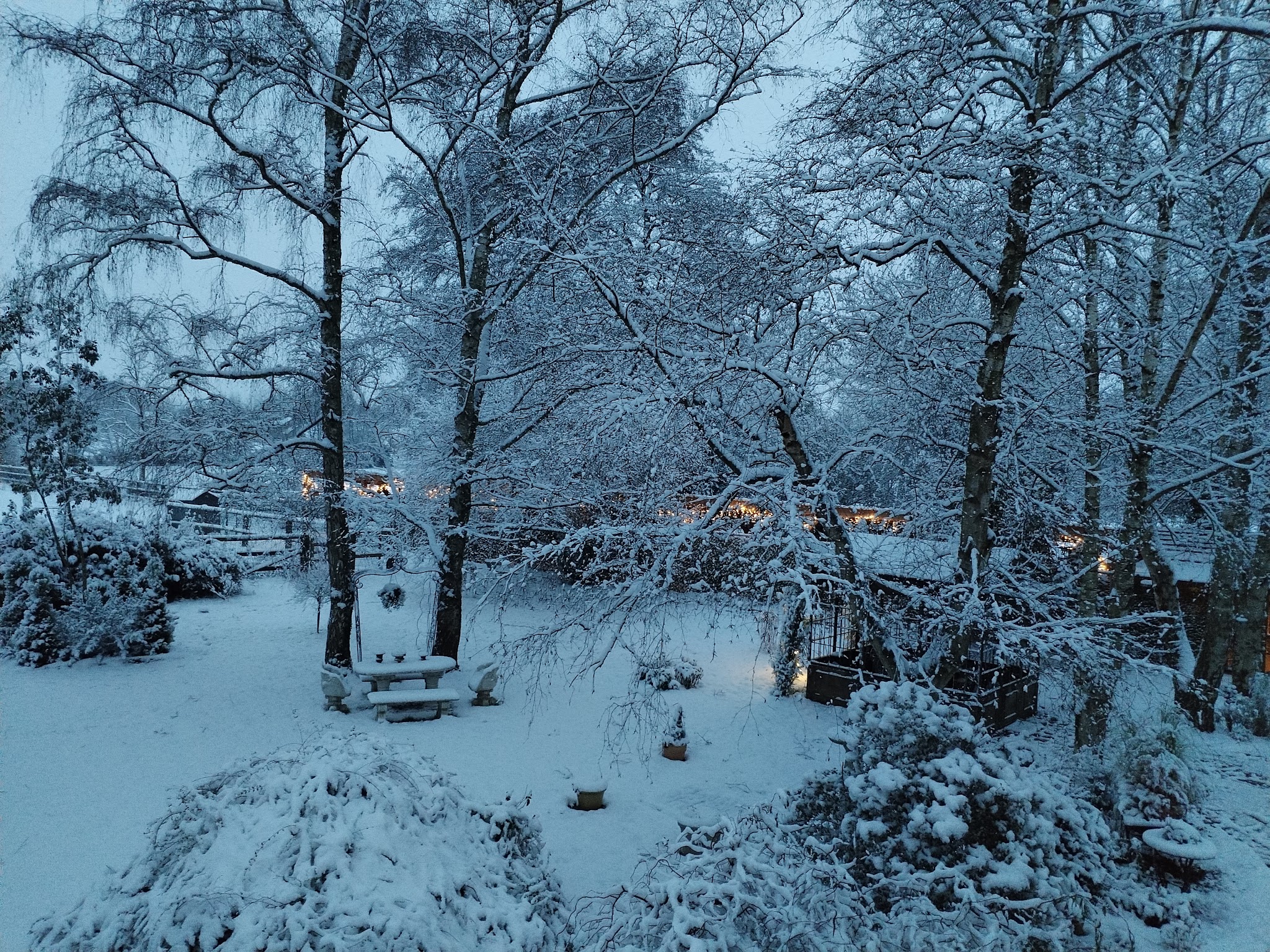 Au logis des 4 pattes — photo
