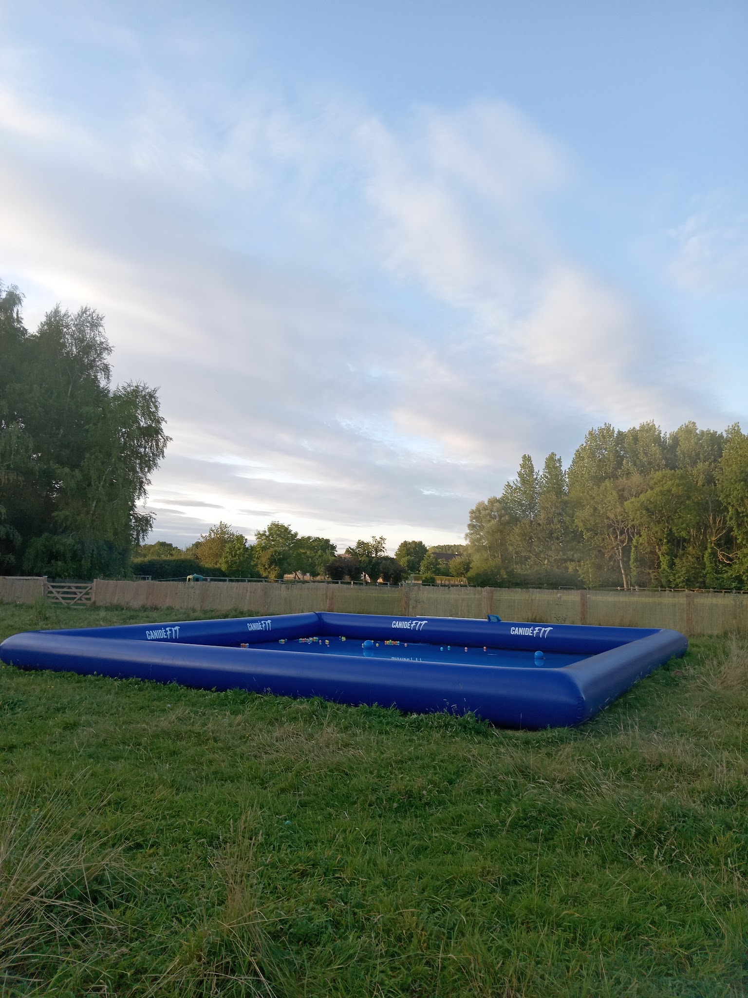 Au logis des 4 pattes — photo